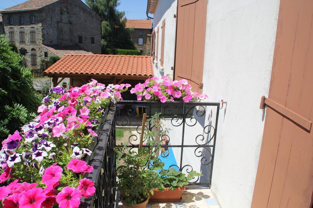 La Maison Des Chats Saint-Mary-le-Plain Экстерьер фото